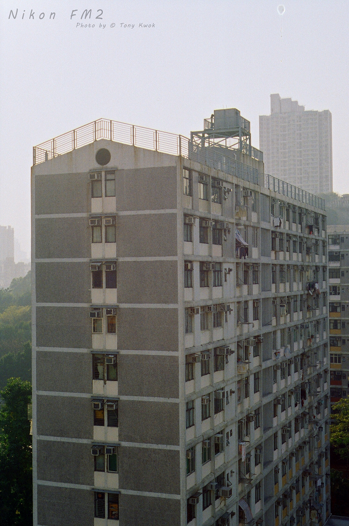 40180008.jpg