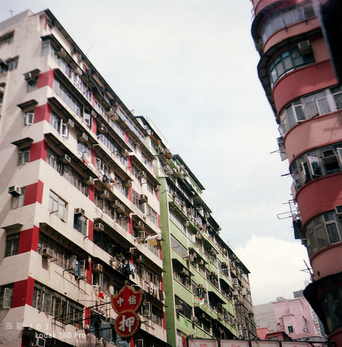 49420012.jpg