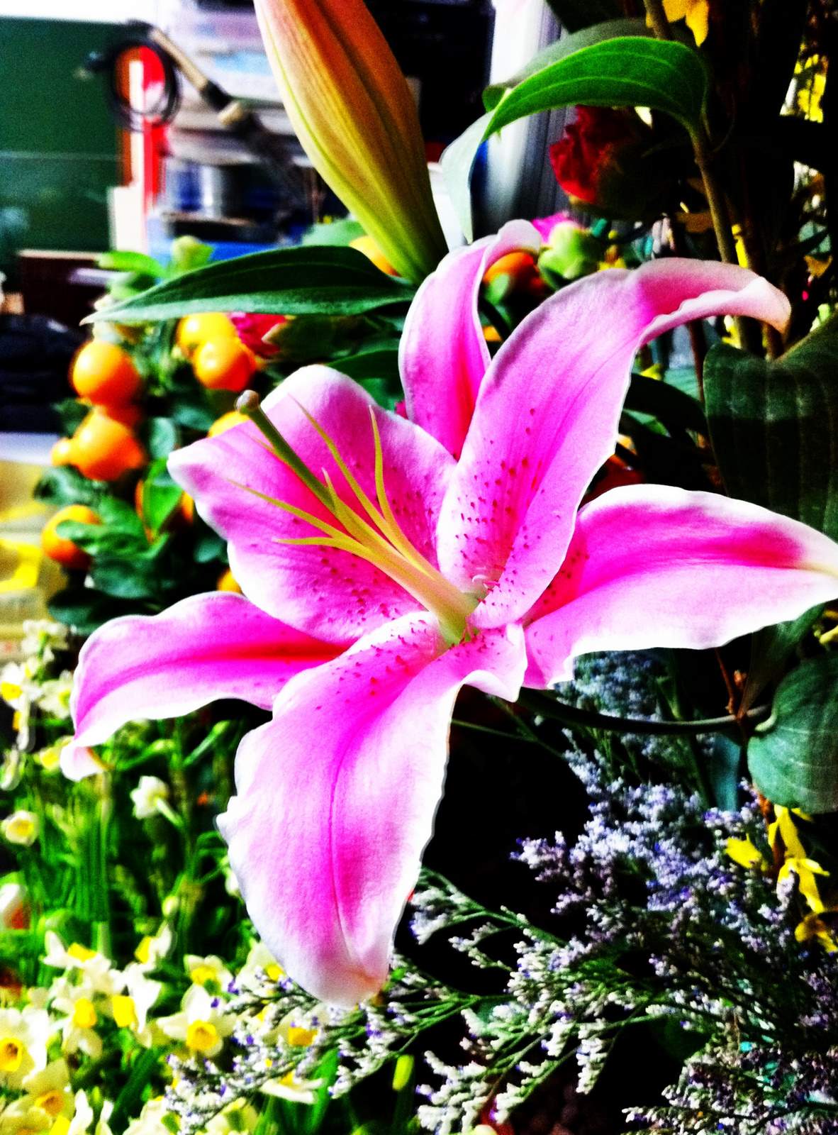 花開富貴