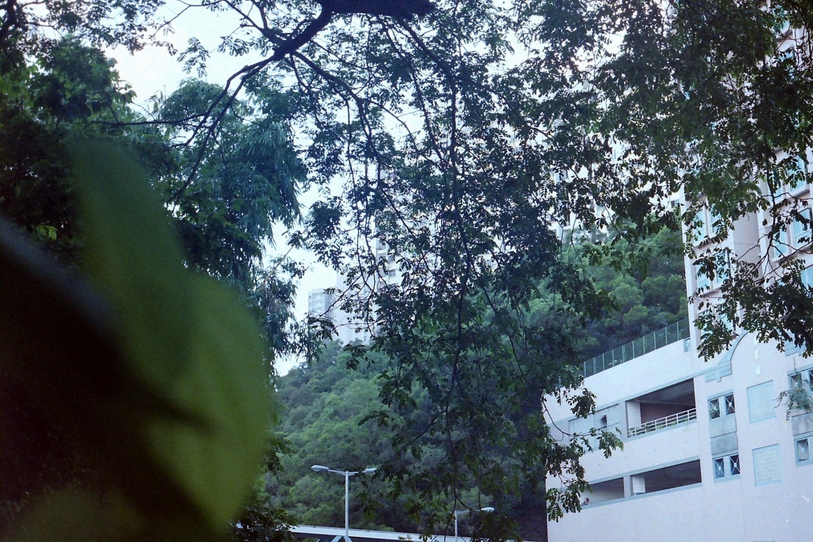 PICT0130.JPG