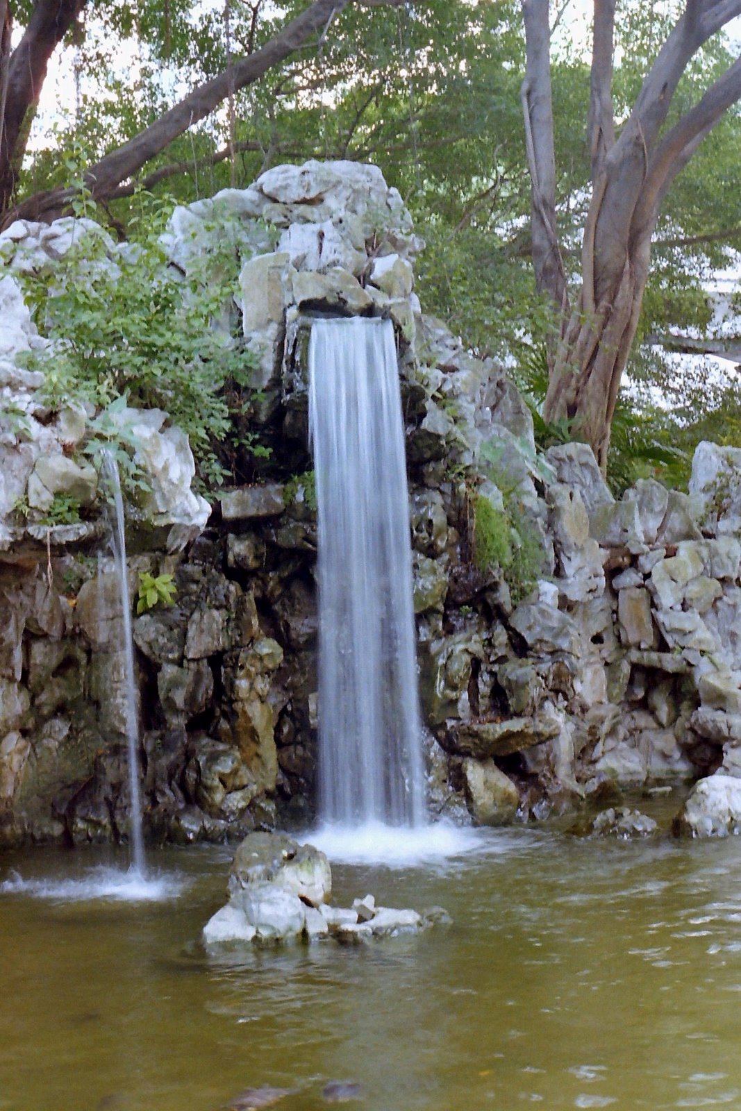 PICT0140.JPG
