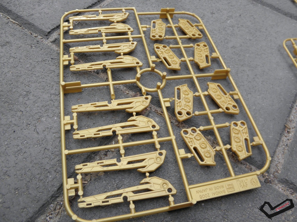 PA220538.JPG