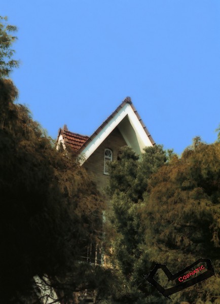 1200140984187.jpg