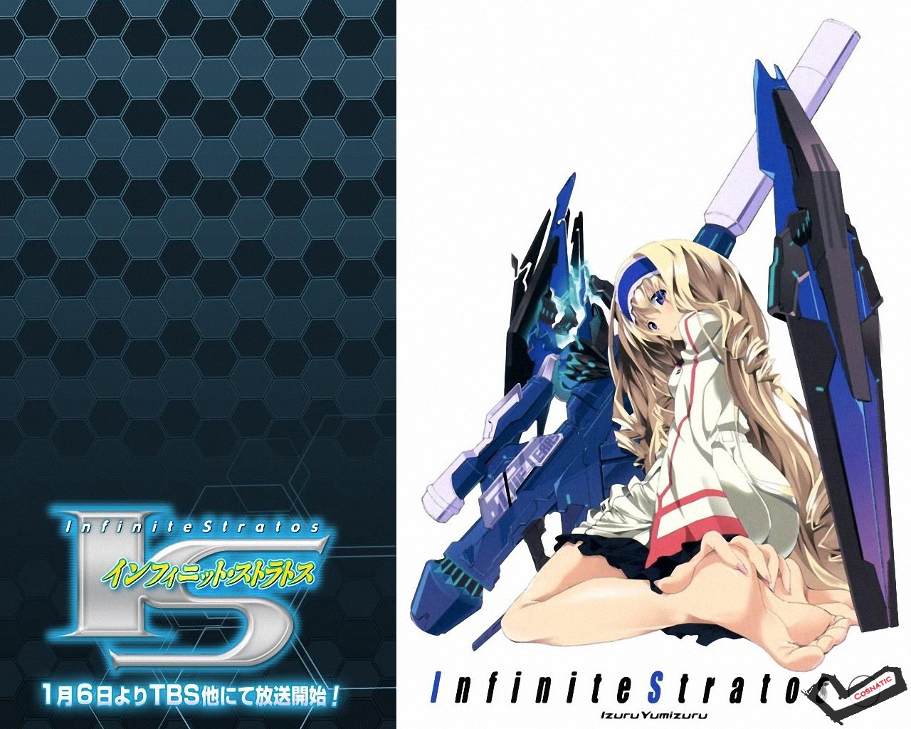 [Desktopstreet2.net]infinite_stratos_102573_111125044710.jpg