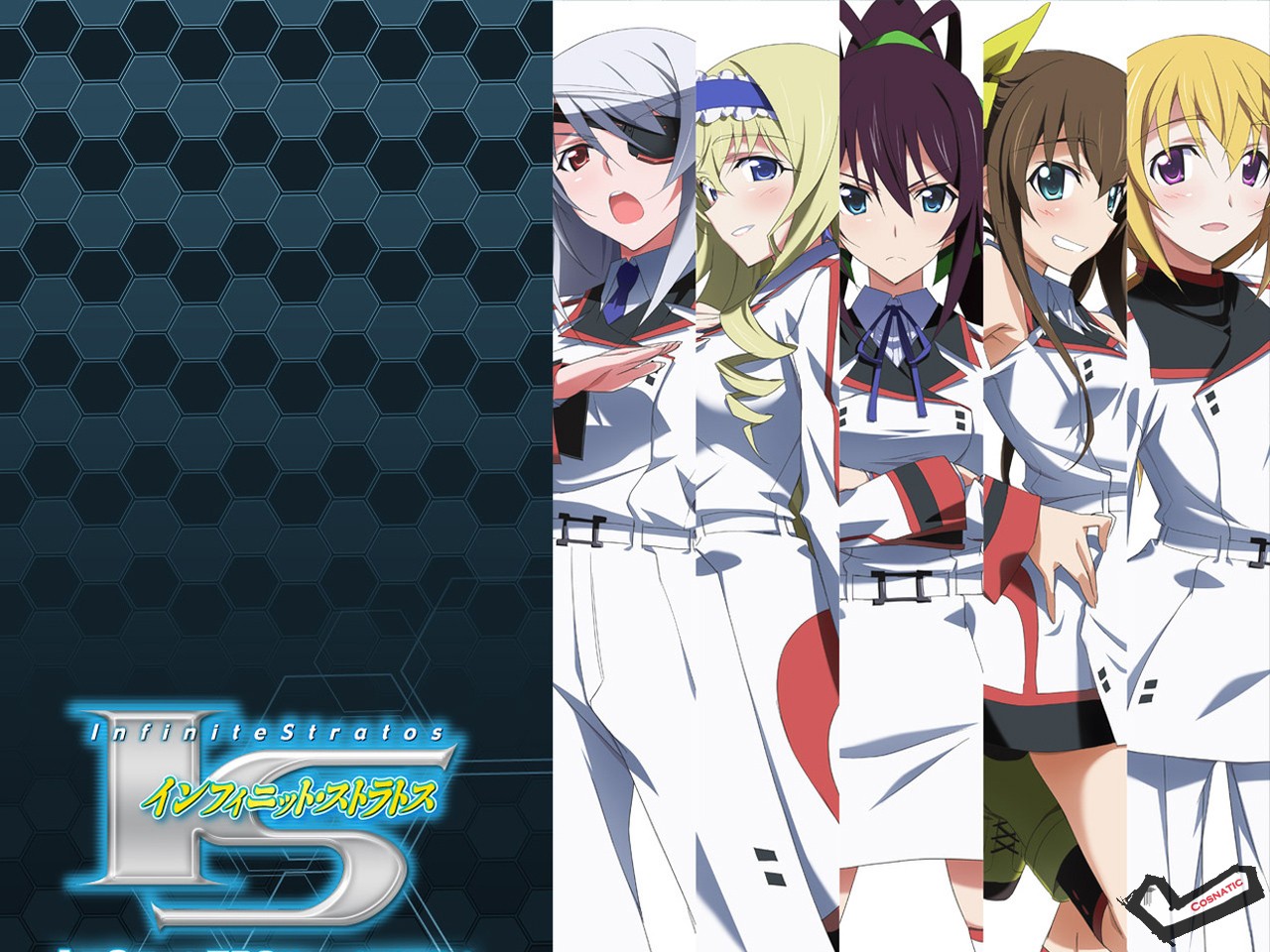 [Desktopstreet2.net]infinite_stratos_102542_111125044724.jpg