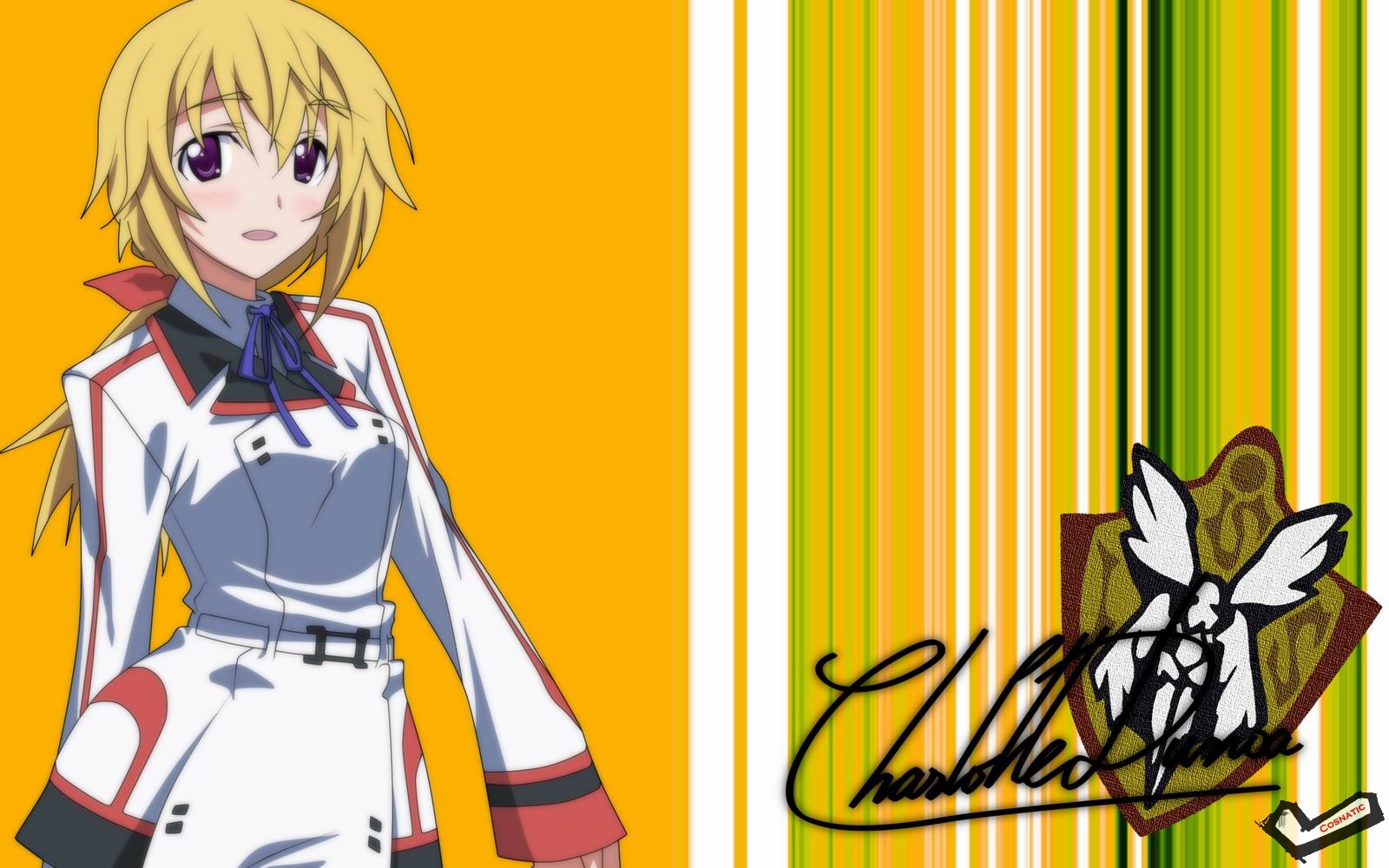 [Desktopstreet2.net]infinite_stratos_105122_111128053103.jpg