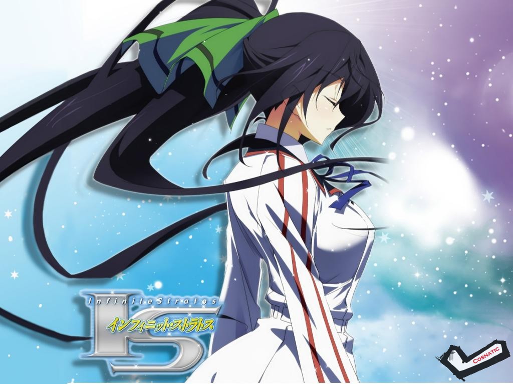 [Desktopstreet2.net]infinite_stratos_1024768_111204081811.jpg