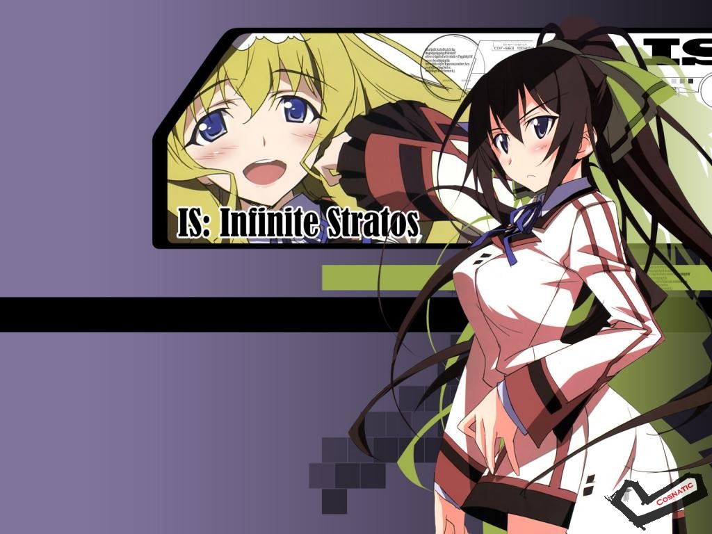 [Desktopstreet2.net]infinite_stratos_1024768_111204082338.jpg
