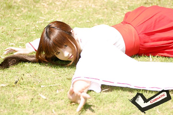 桔梗01.jpg