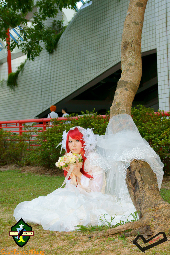 DSC00955.jpg