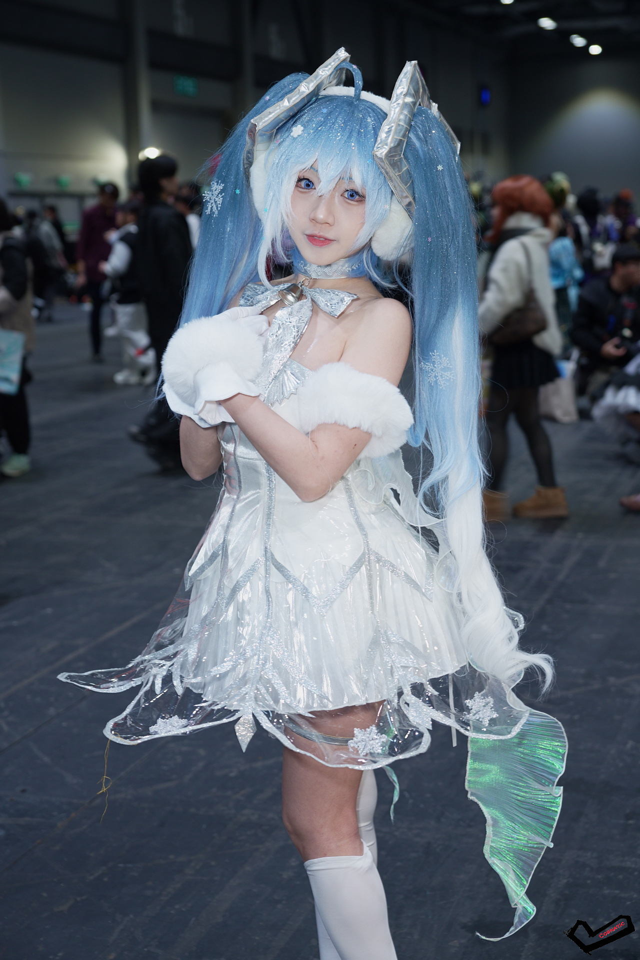 DSC06785.jpg